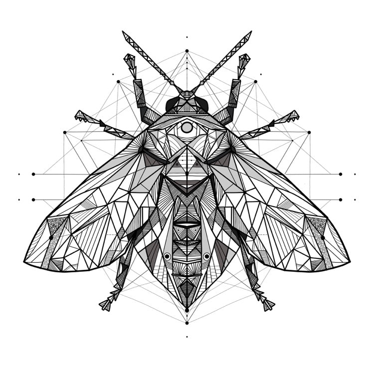 Scarab beetle line art print - retro geometric zentangle beetle insect Illustration nature print/poster